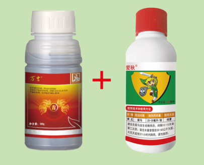 7c9ccca5-1bfb-4947-a52a-523f8a2afc08 (3).png