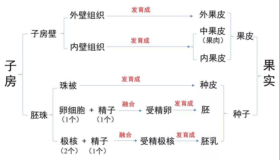 微信图片_20210623163700.jpg