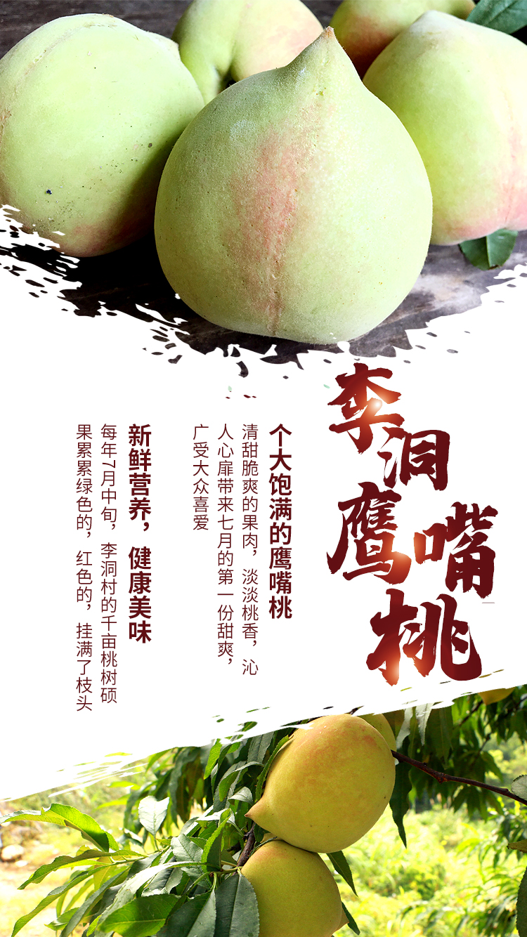 宣传图2.jpg