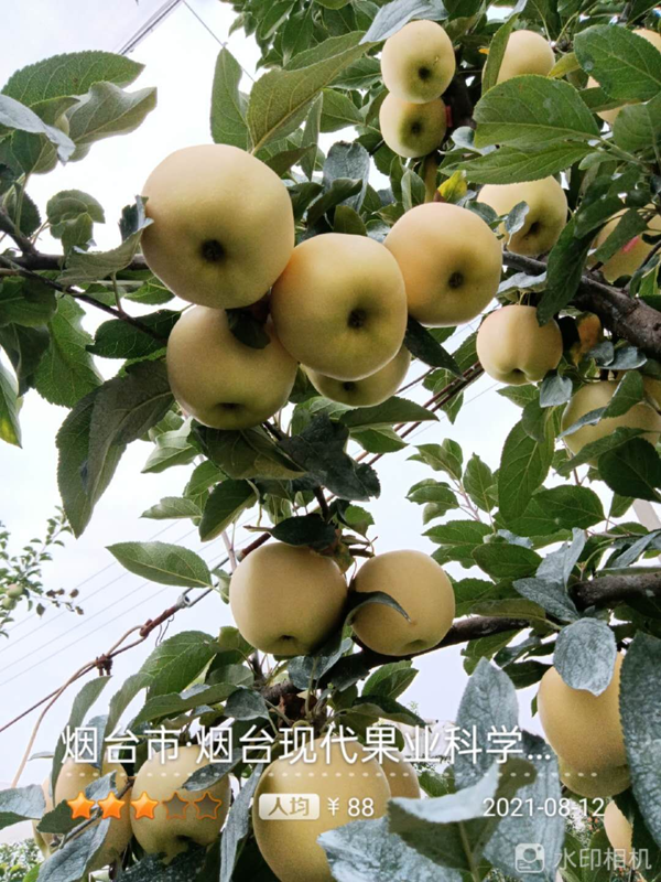 图片6.png