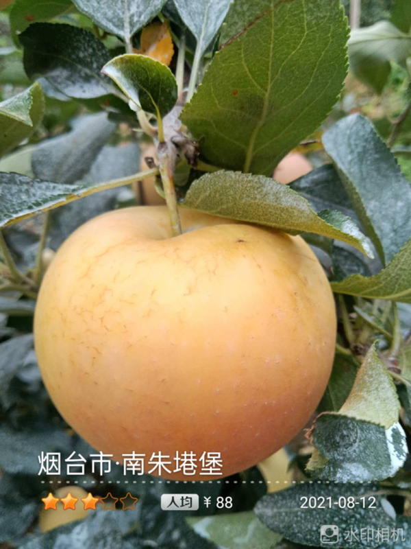 图片5.png