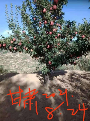 图片6.png