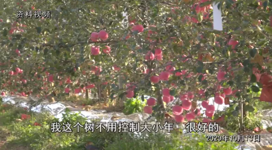 QQ截图20210904091618.png