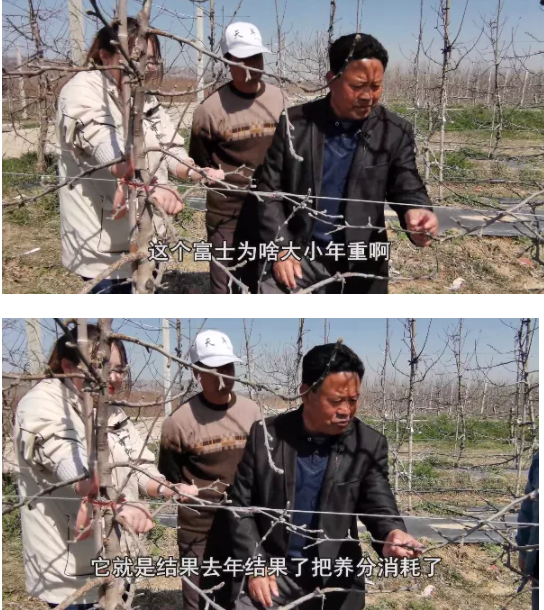 QQ截图20210904092624.png