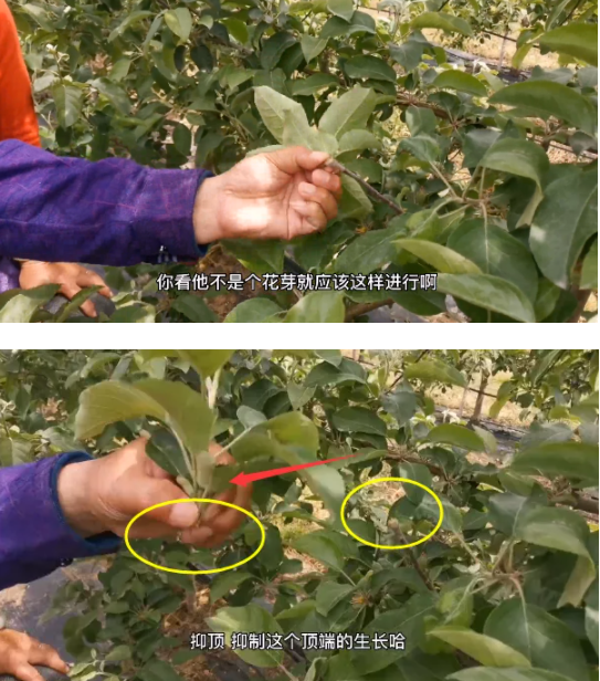 QQ截图20210904111830.png