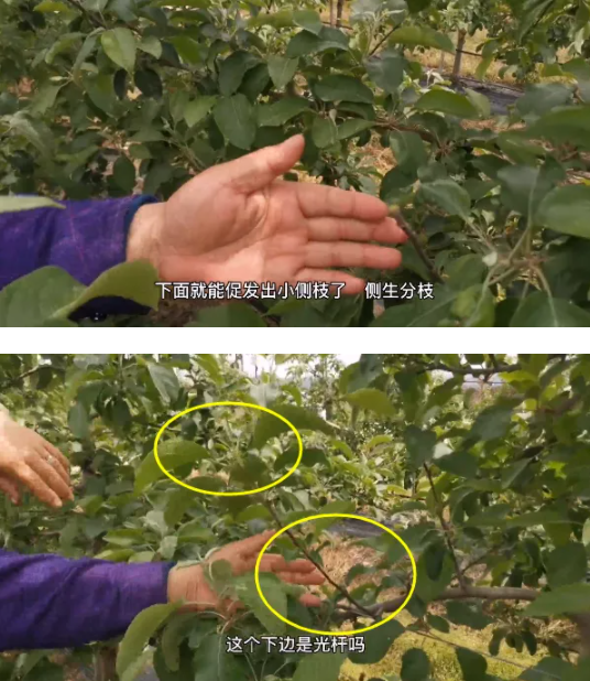 QQ截图20210904111843.png