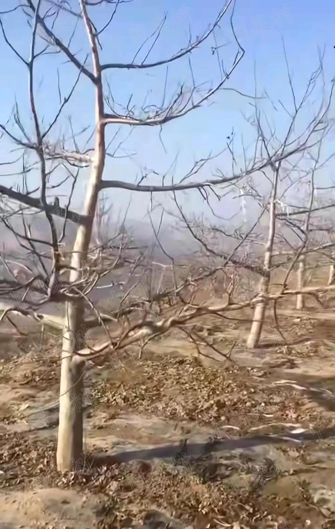 微信图片_20210926104527.jpg