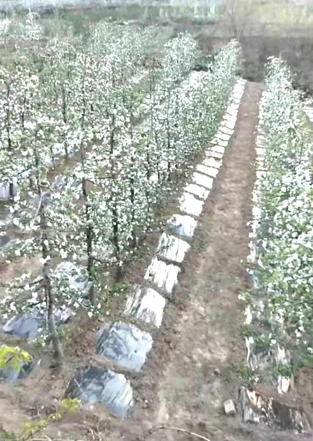 微信图片_20210926104540.jpg