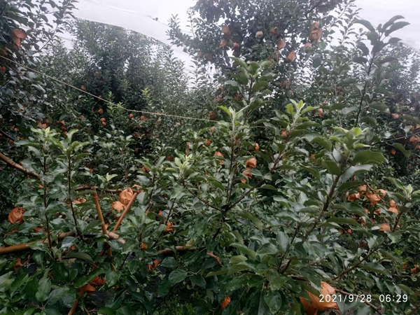 微信图片_20210929140322.jpg