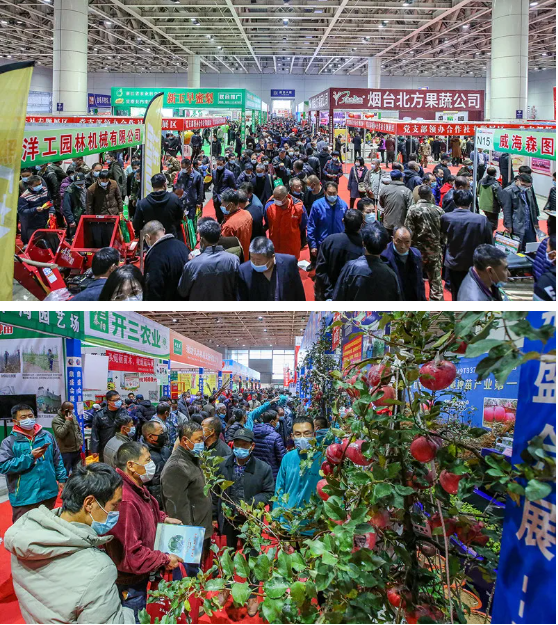 微信图片_20211023152815.png