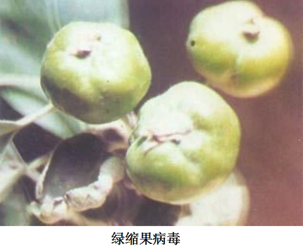 微信图片_20211117133646.png
