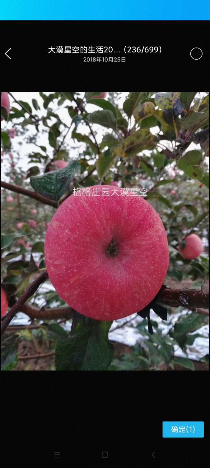 Screenshot_2021-11-25-06-41-44-320_com.tencent.mobileqq.jpg