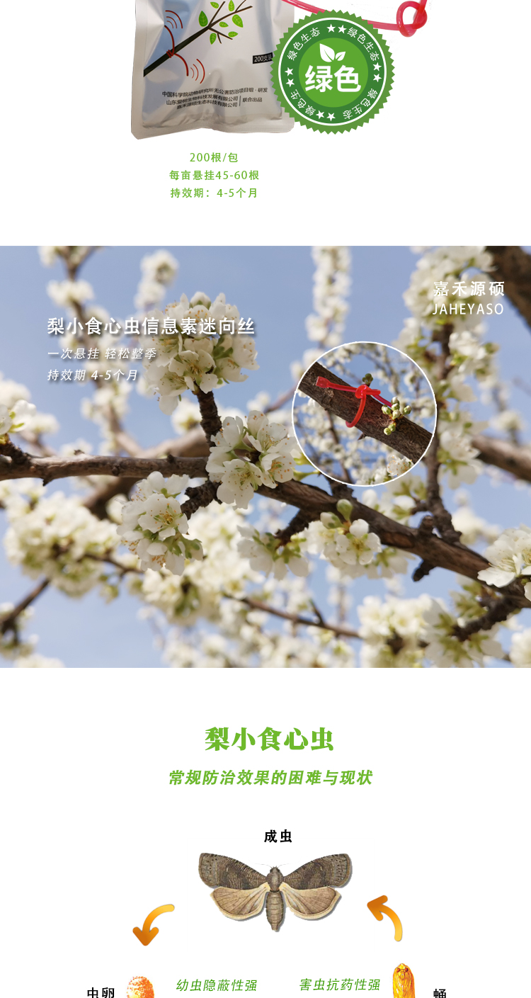 迷向丝-页_02.jpg