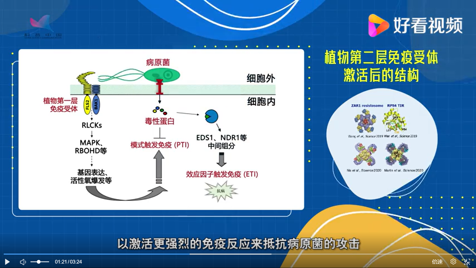图片 3.png