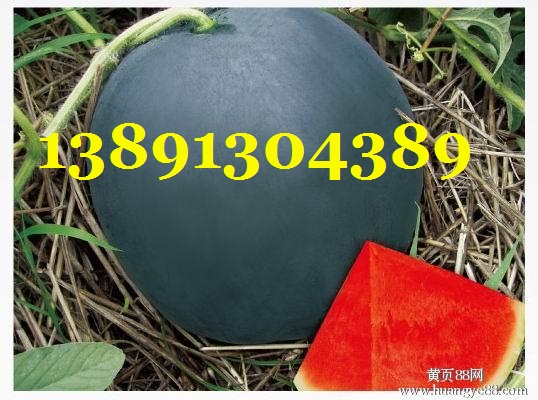 西瓜-黑无籽西瓜.jpg