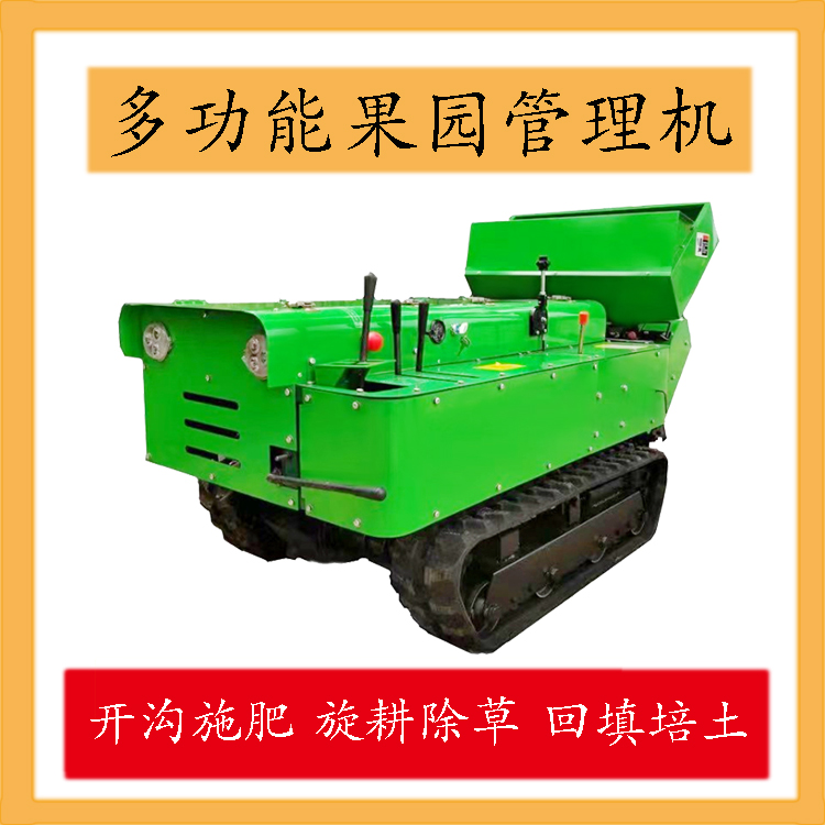 5458451.jpg