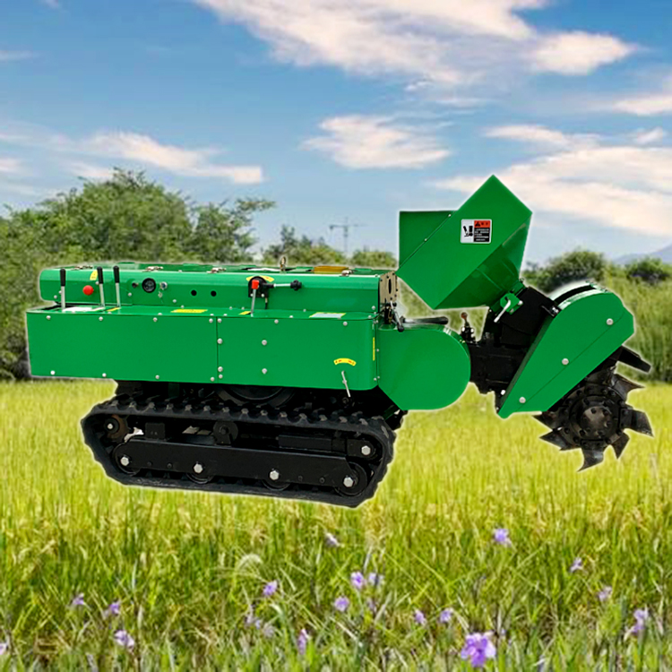 46546.jpg