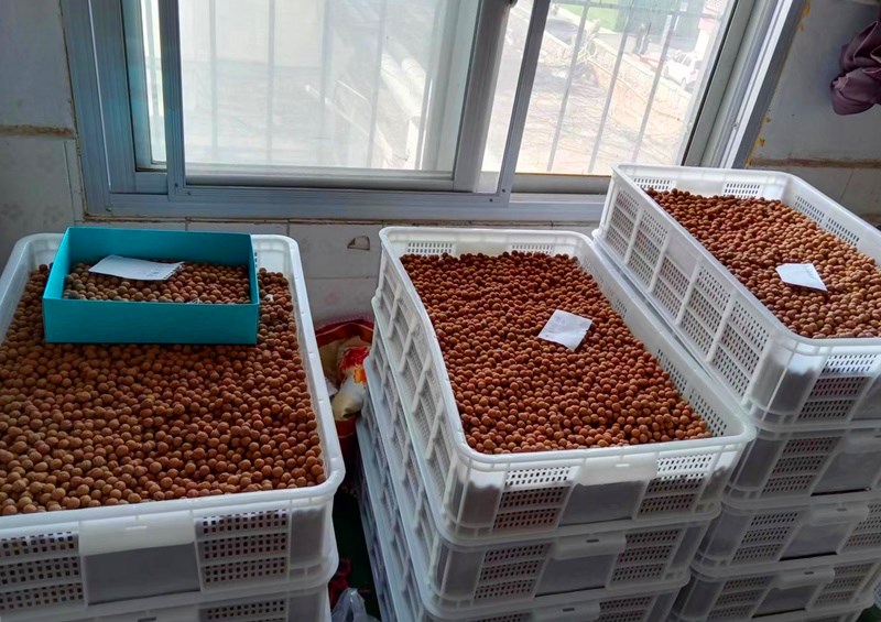 串珠原料猴头核桃