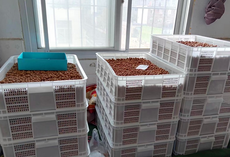 0-猴头核桃珠料2-.jpg