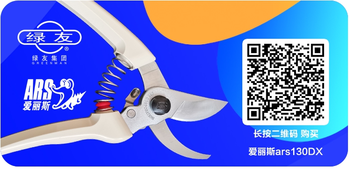 论剪广告图2.jpg