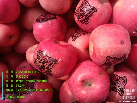 图片13.png