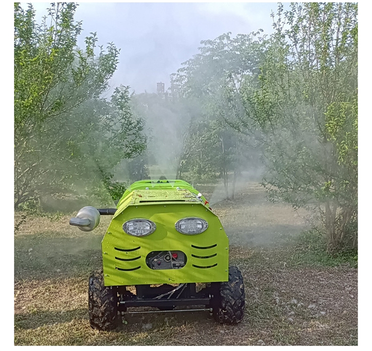710.jpg