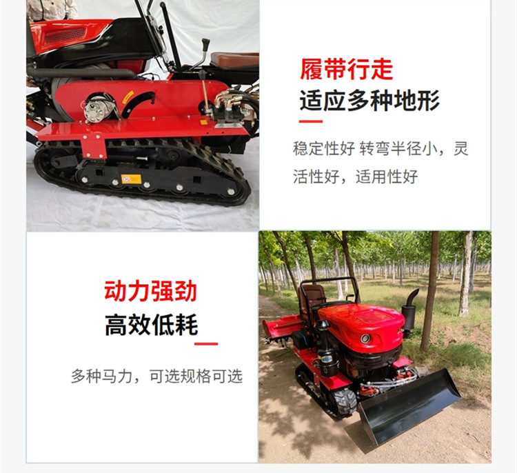 07_1.jpg