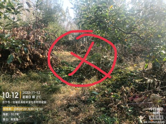 图片10.png