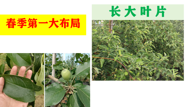 图片 4.png