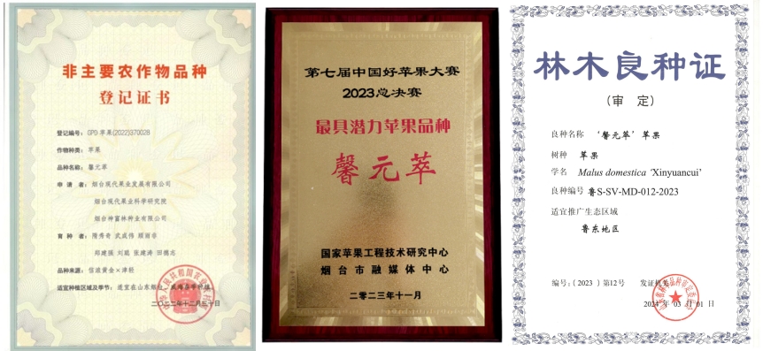 未命名.jpg