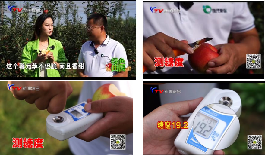 图片5_副本_副本.png