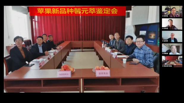 图片13.png