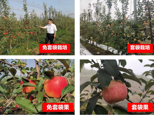 微信截图_20240808141153.png