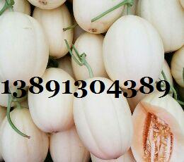甜瓜-东方密甜瓜1110430899.jpg