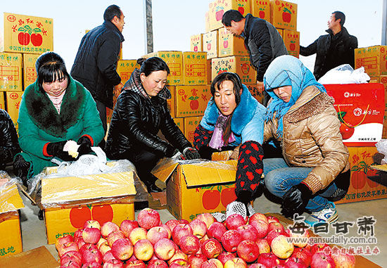 静宁苹果远销尼泊尔、俄罗斯等国家(图)