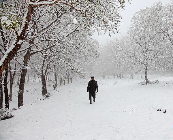 讯：承德围场6月飞雪直降零下八度  立夏冰雹又下雪