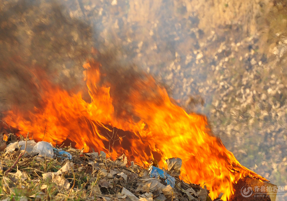 苹果受伤：犁地时引燃秸秆火势失控  烧毁村民家4万元苹果树 ...