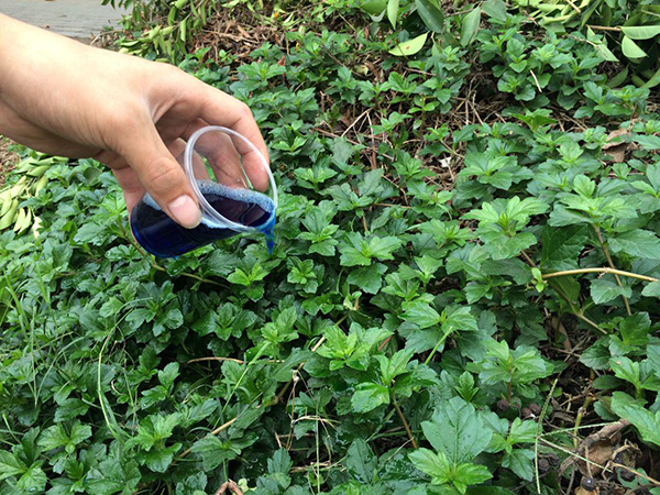 再次探索草甘膦的安全性