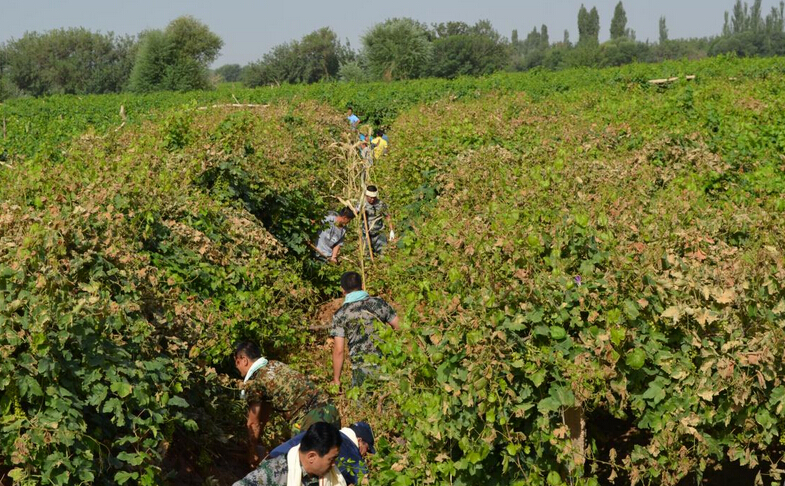 磷肥旺季销售遭洪灾影响　资源税改革落地为行业注入“兴奋剂” ... ...
