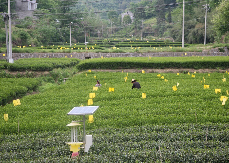 生物刺激素火了更要科学理性看待