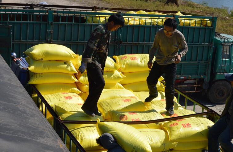 南方市场遍地开花　这种肥今年冬储将不再“冷”