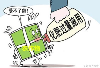 有机肥替代化肥，果菜茶行业要变天！