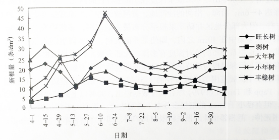 果树根系年周期的生长动态