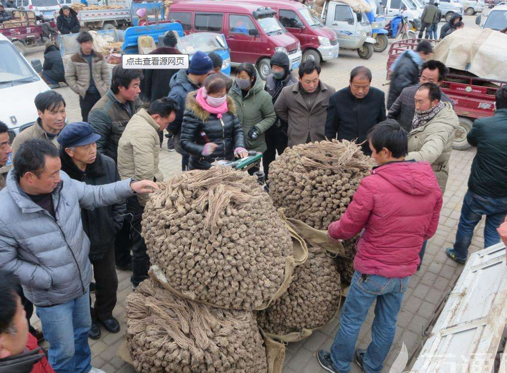 原药供需双方开始僵持