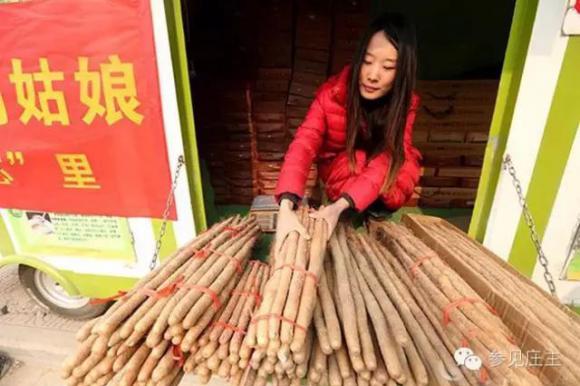 80后“山药姑娘”潘晓婷的苦与乐