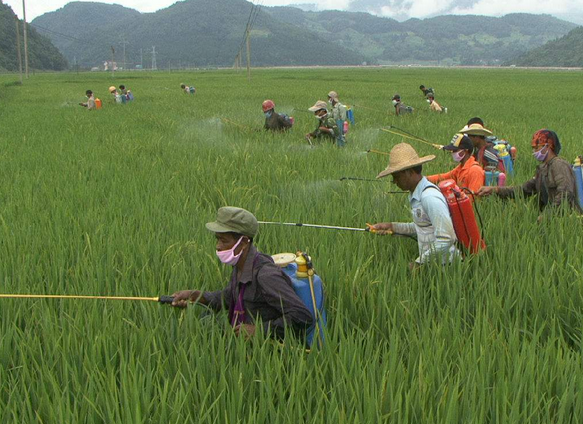 生物刺激剂：下一片农资蓝海？