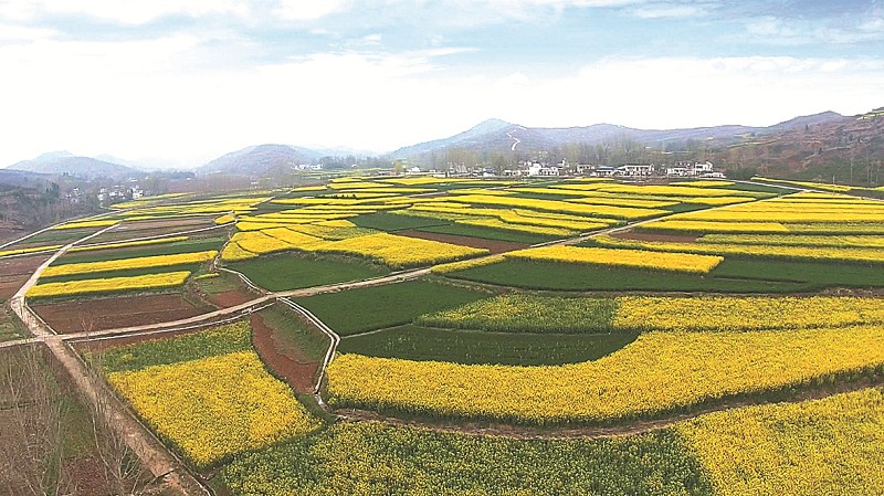 荒田变金地 脱贫致富就在家门口