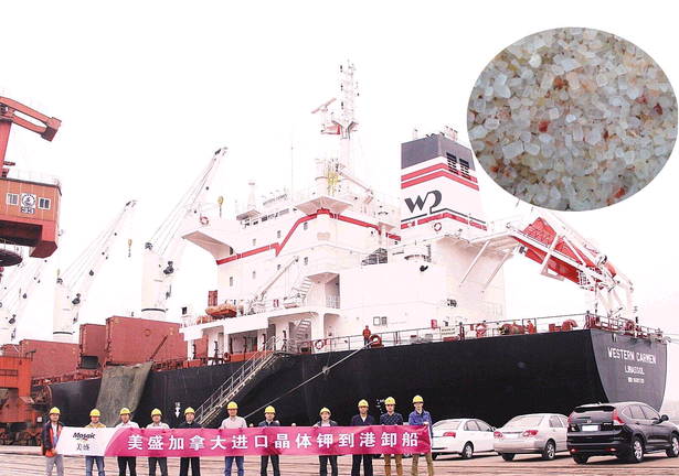 国际磷肥市场观望氛围浓厚