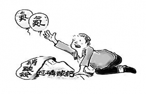 不能混施的几种肥料 你知道那些？