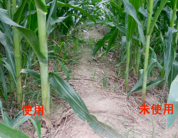 特肥行业已经从“土壤肥料学”全面进入“植物生理学”的竞争 ...
